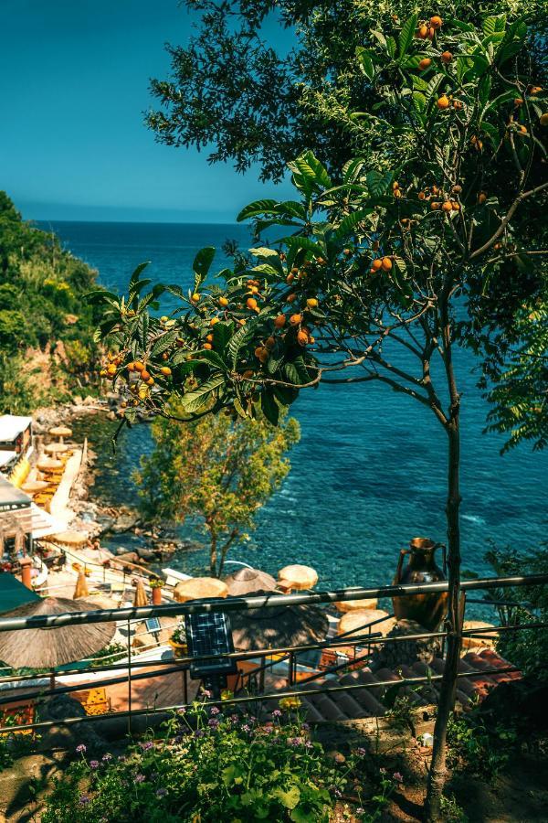 O' Vagnitiello - Parco Balneare Idroterapico - Camere - Ristorante Casamicciola Terme Zewnętrze zdjęcie